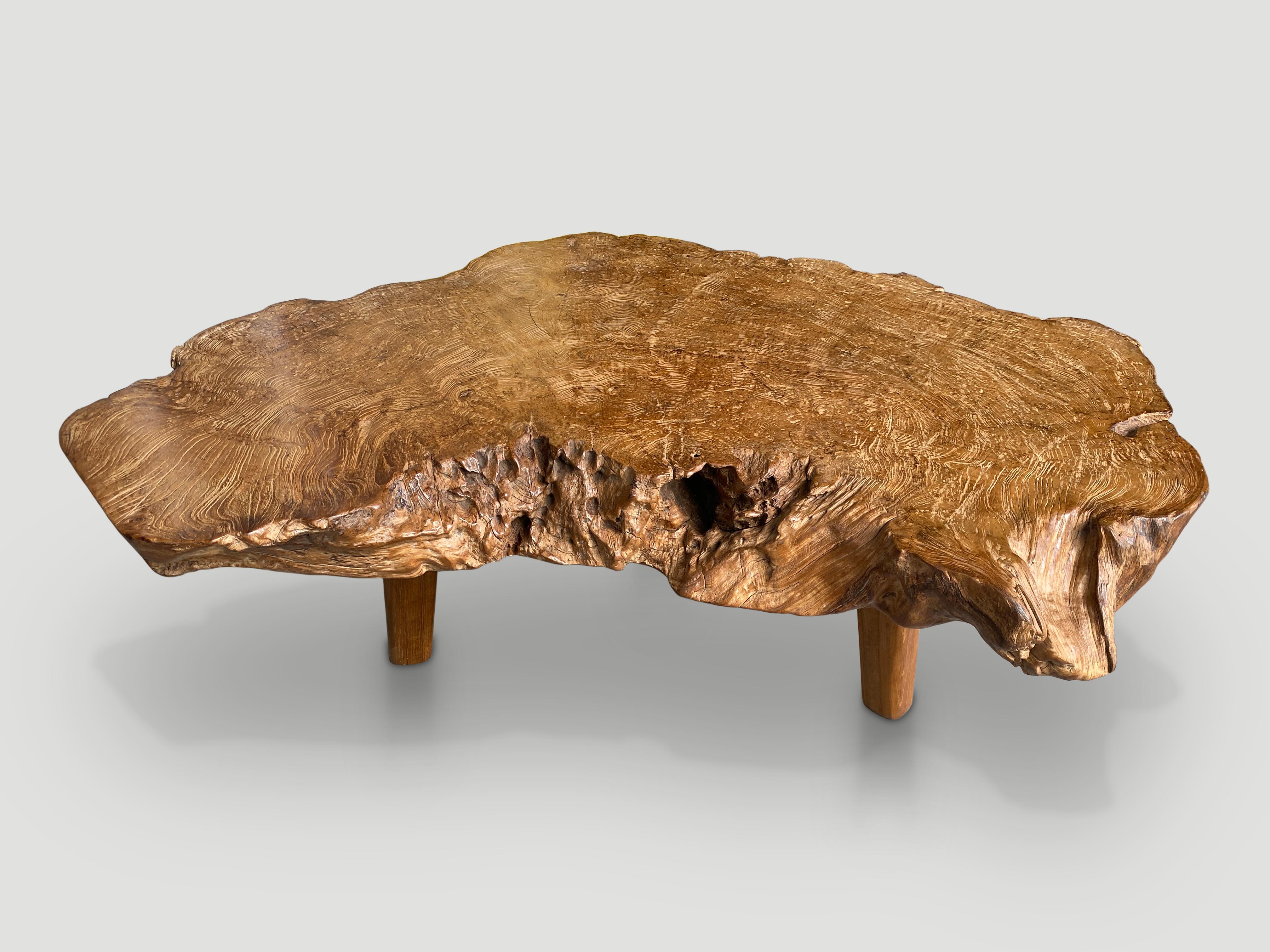 Andrianna Shamaris Live Edge Single Root Coffee Table In Excellent Condition In New York, NY