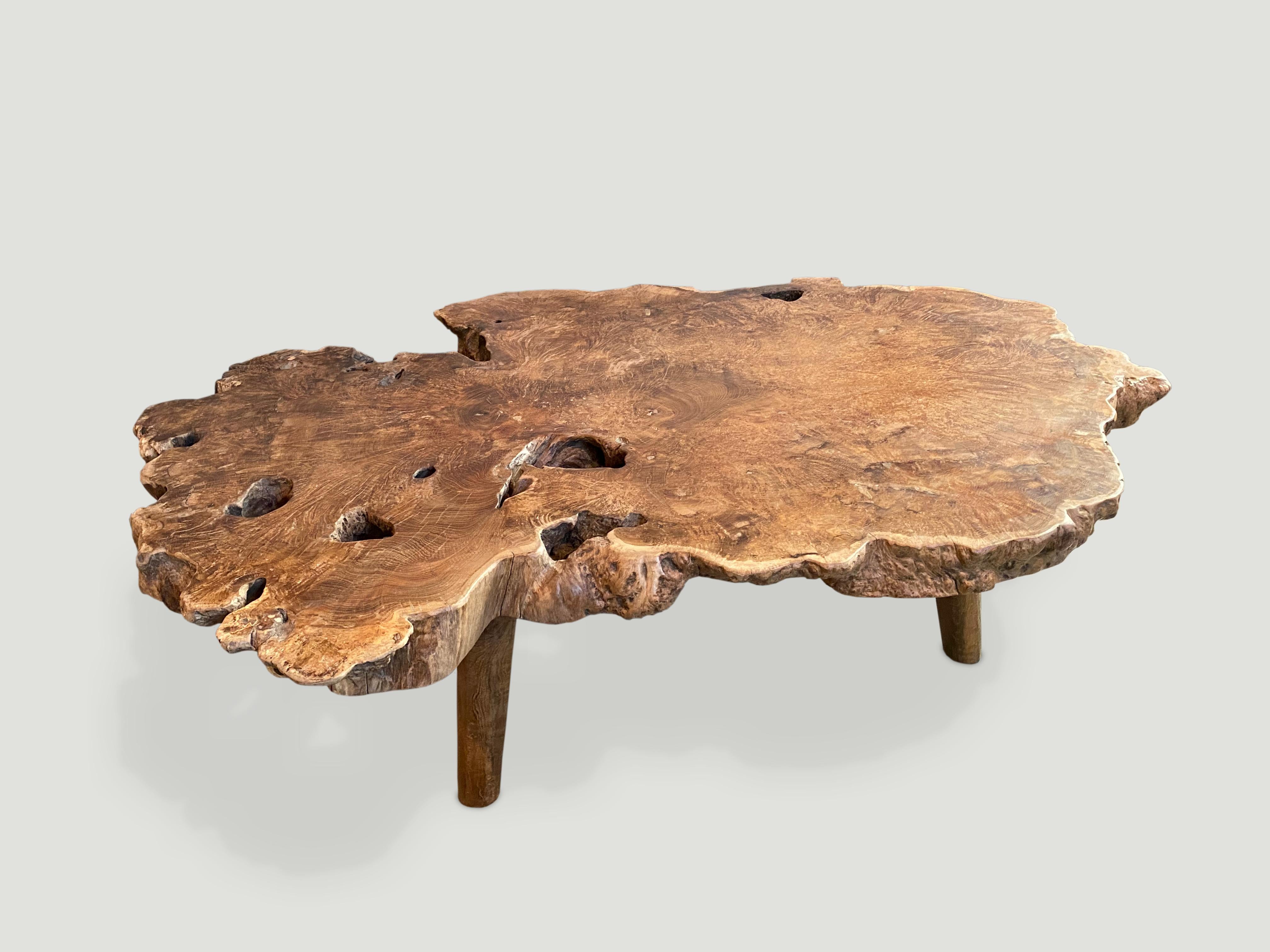 live edge root coffee table