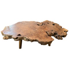 Andrianna Shamaris Live Edge Single Root Teak Wood Coffee Table