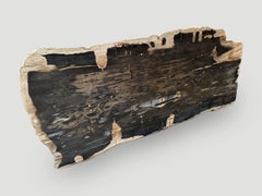 Andrianna Shamaris Live Edge Single Slab HighQuality Petrified Wood Dining Table