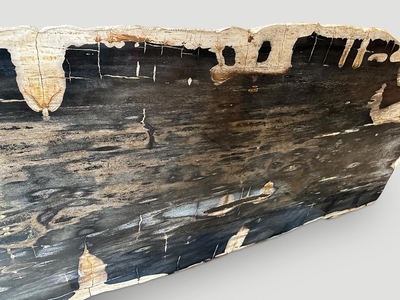 black petrified wood slab