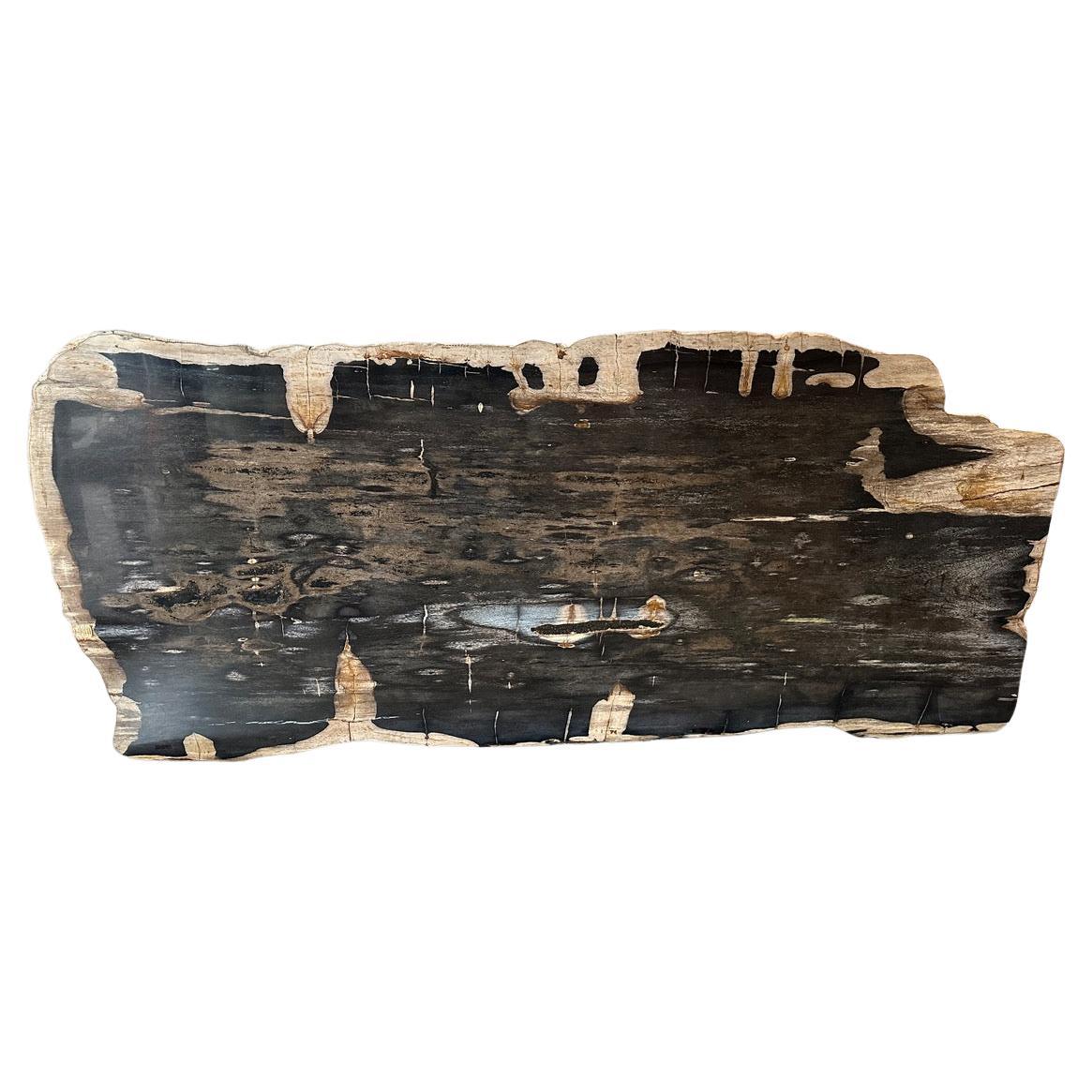 Andrianna Shamaris Live Edge Single Slab HighQuality Petrified Wood Dining Table For Sale