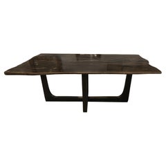 Andrianna Shamaris Live Edge Super Smooth Petrified Wood Dining Table