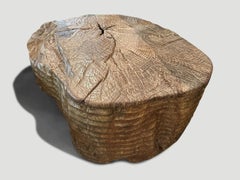 Andrianna Shamaris Magnificent Teak Wood Coffee Table