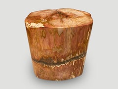 Andrianna Shamaris Magnificent Coral Toned High Quality PetrifiedWood Side Table