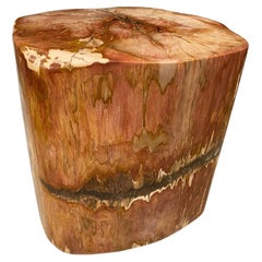 Andrianna Shamaris Magnificent Coral Toned High Quality PetrifiedWood Side Table
