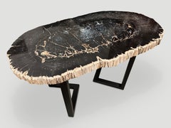 Andrianna Shamaris Magnificent Large Petrified Wood Table