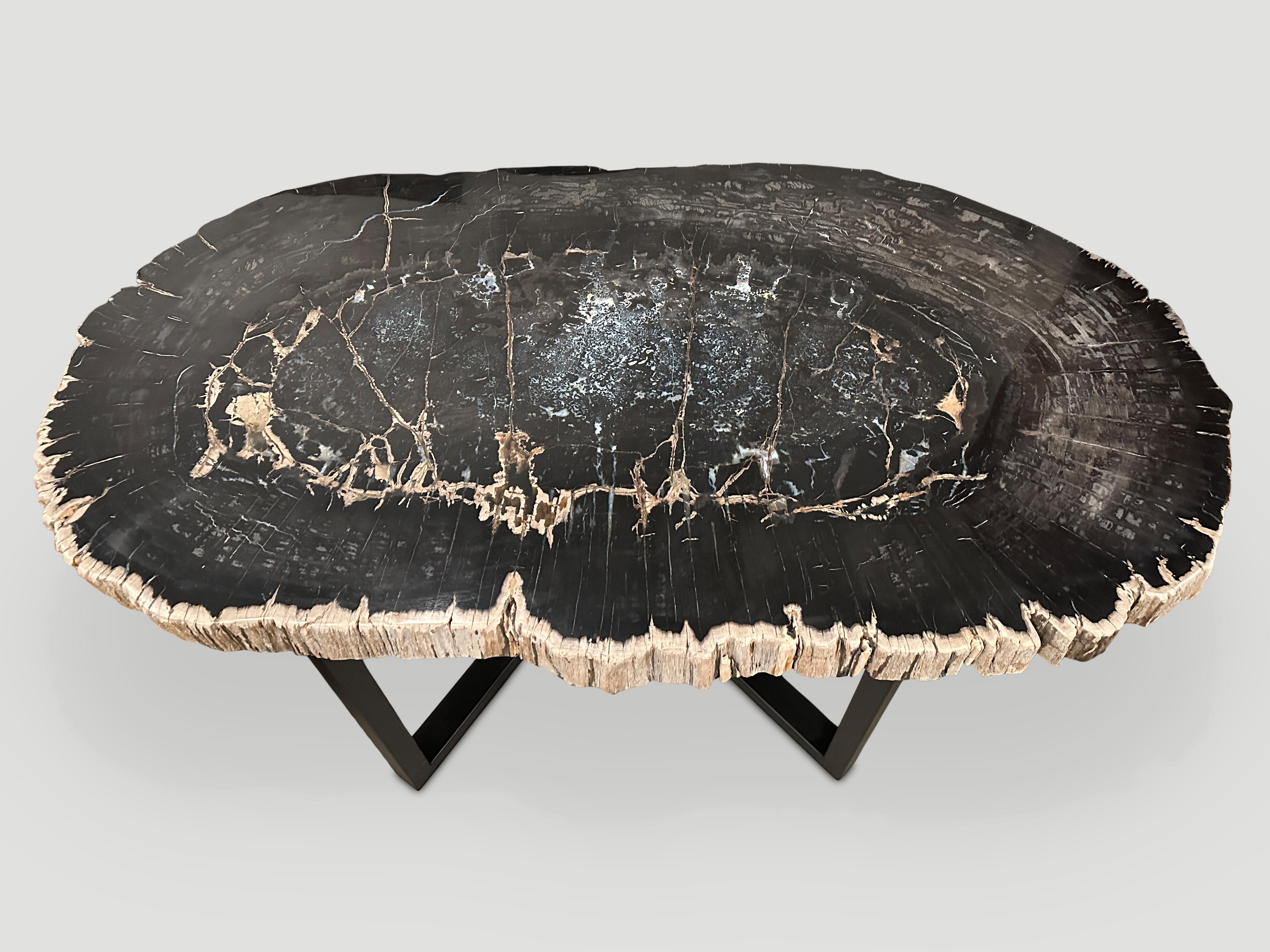 Contemporary Andrianna Shamaris Magnificent Large Petrified Wood Table For Sale