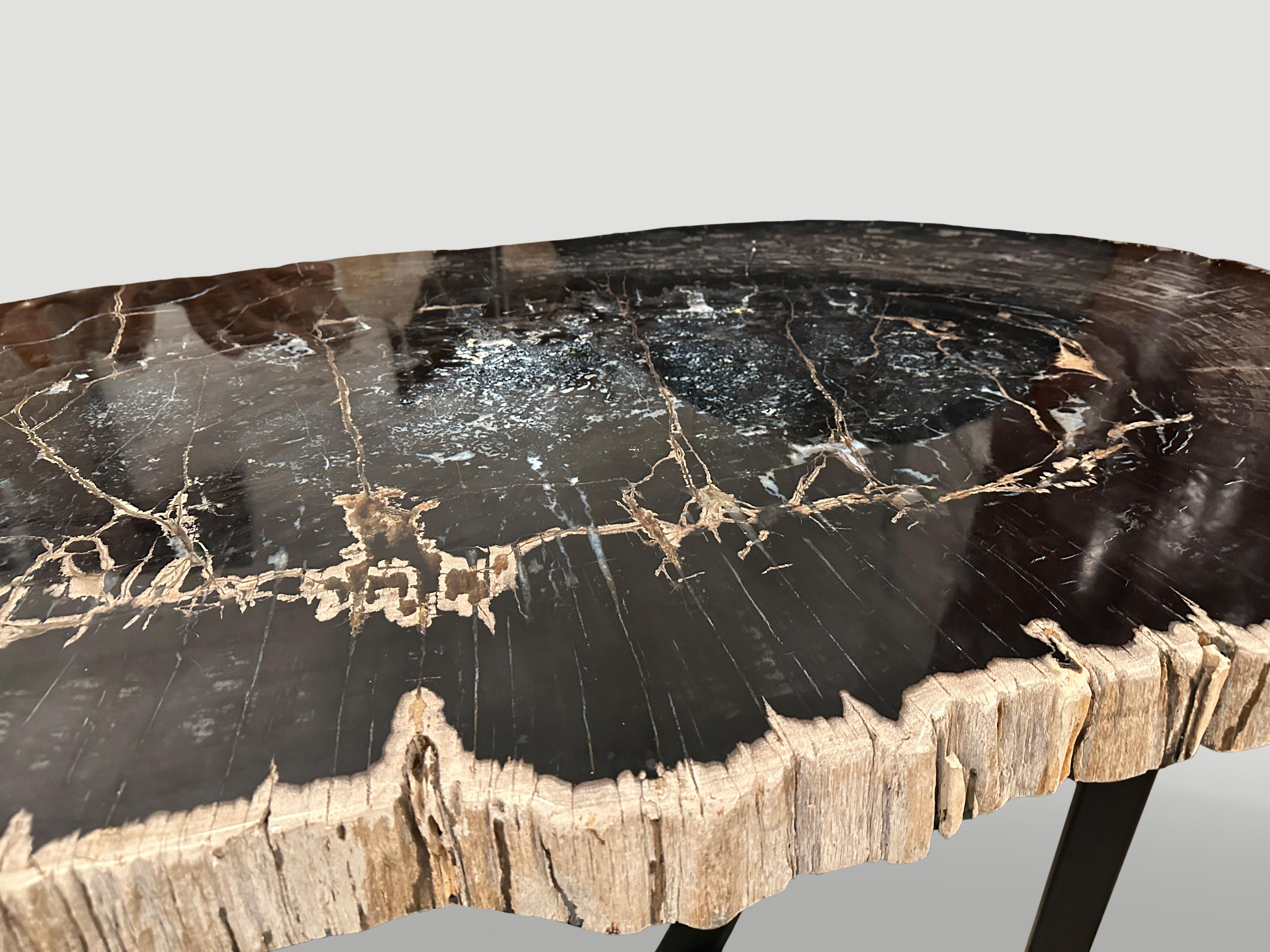Andrianna Shamaris, prächtiger großer Tisch aus versteinertem Holz im Angebot 1