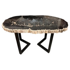Andrianna Shamaris Magnificent Large Petrified Wood Table