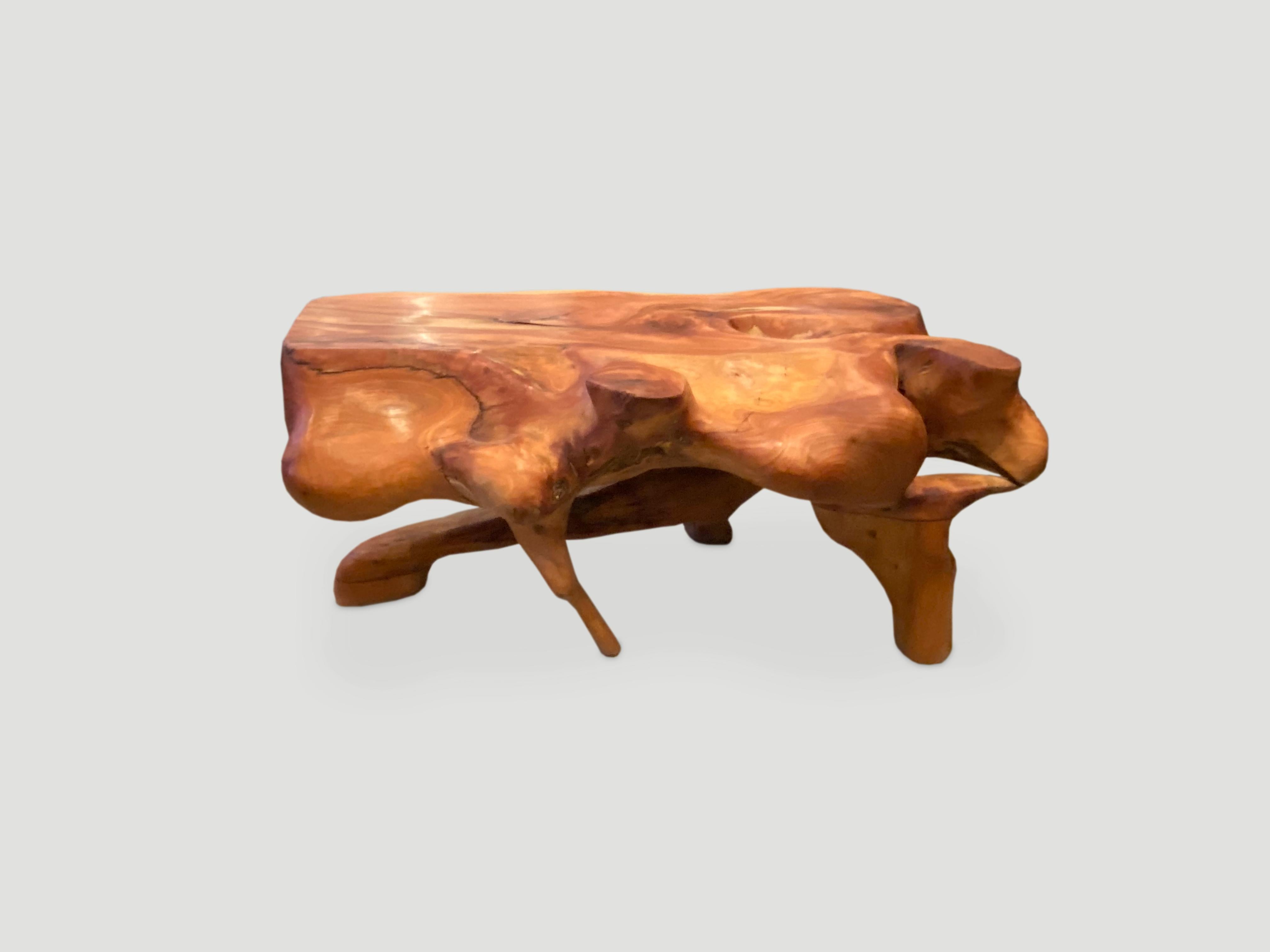 Organic Modern Andrianna Shamaris Mahogany Root Sculptural Coffee Table