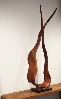 Andrianna Shamaris Mahogany Wood Sculpture, Organic Modern Design