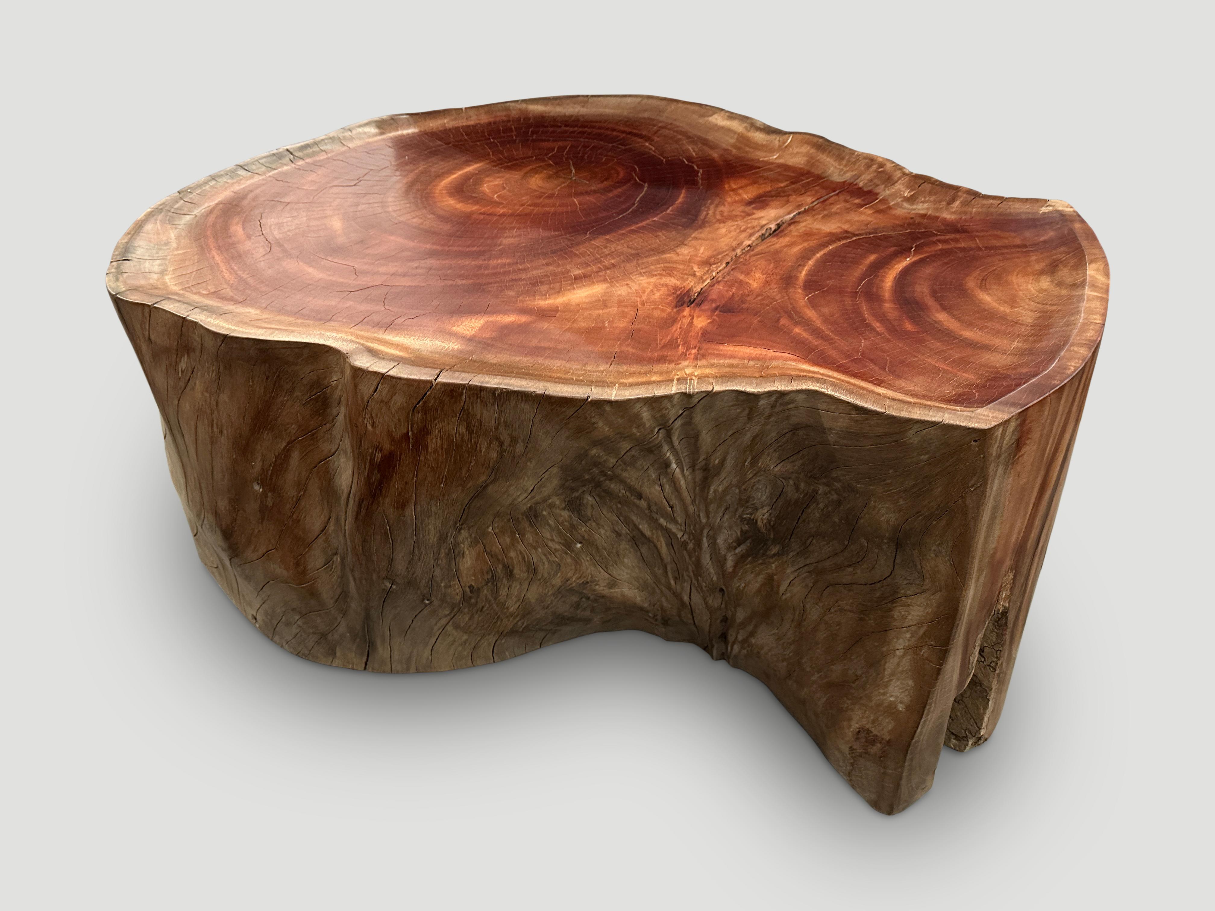 Andrianna Shamaris Mesa de centro estilo bandeja de madera de caoba Moderno orgánico en venta