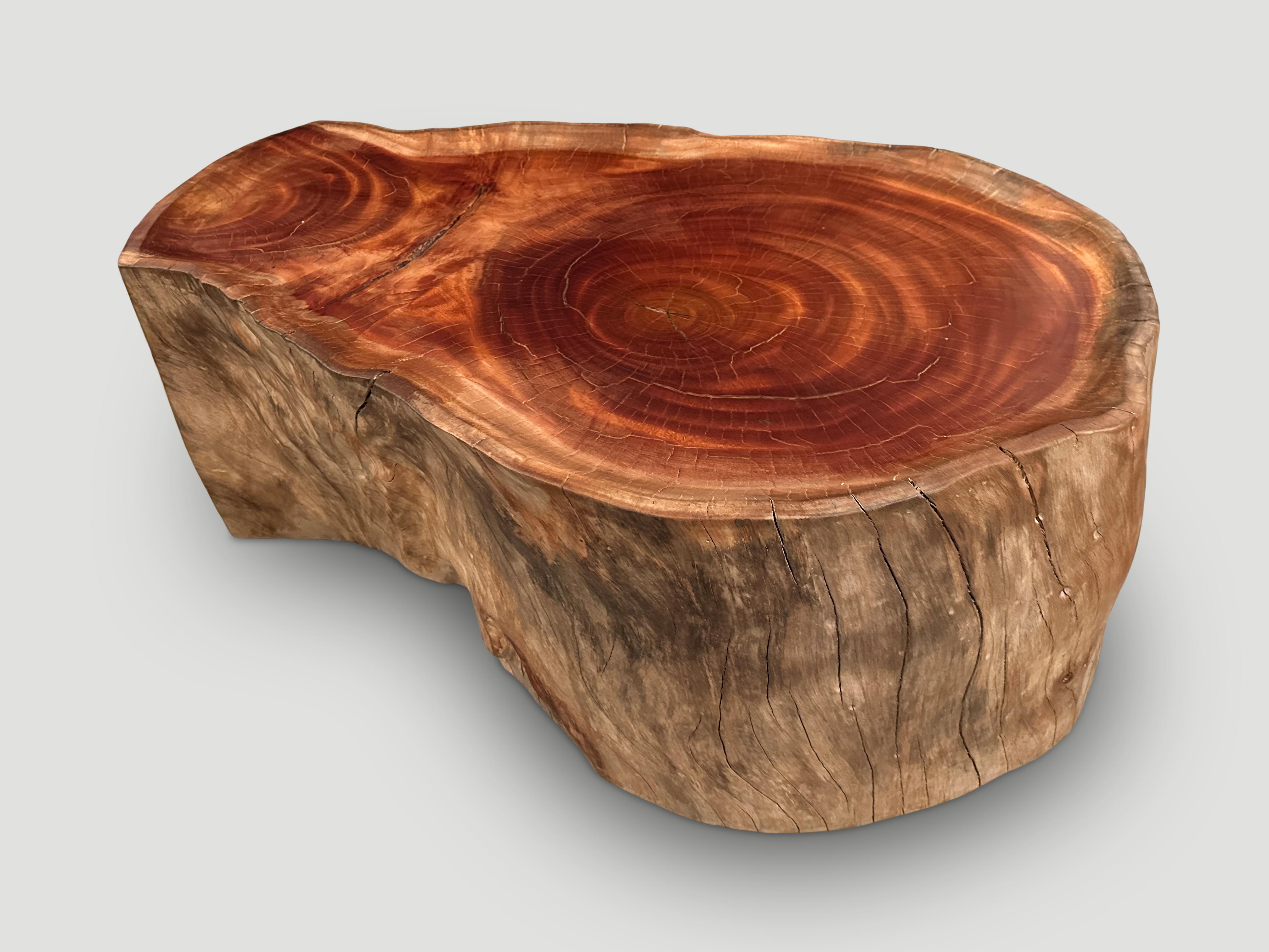 Andrianna Shamaris Mesa de centro estilo bandeja de madera de caoba Siglo XXI y contemporáneo en venta