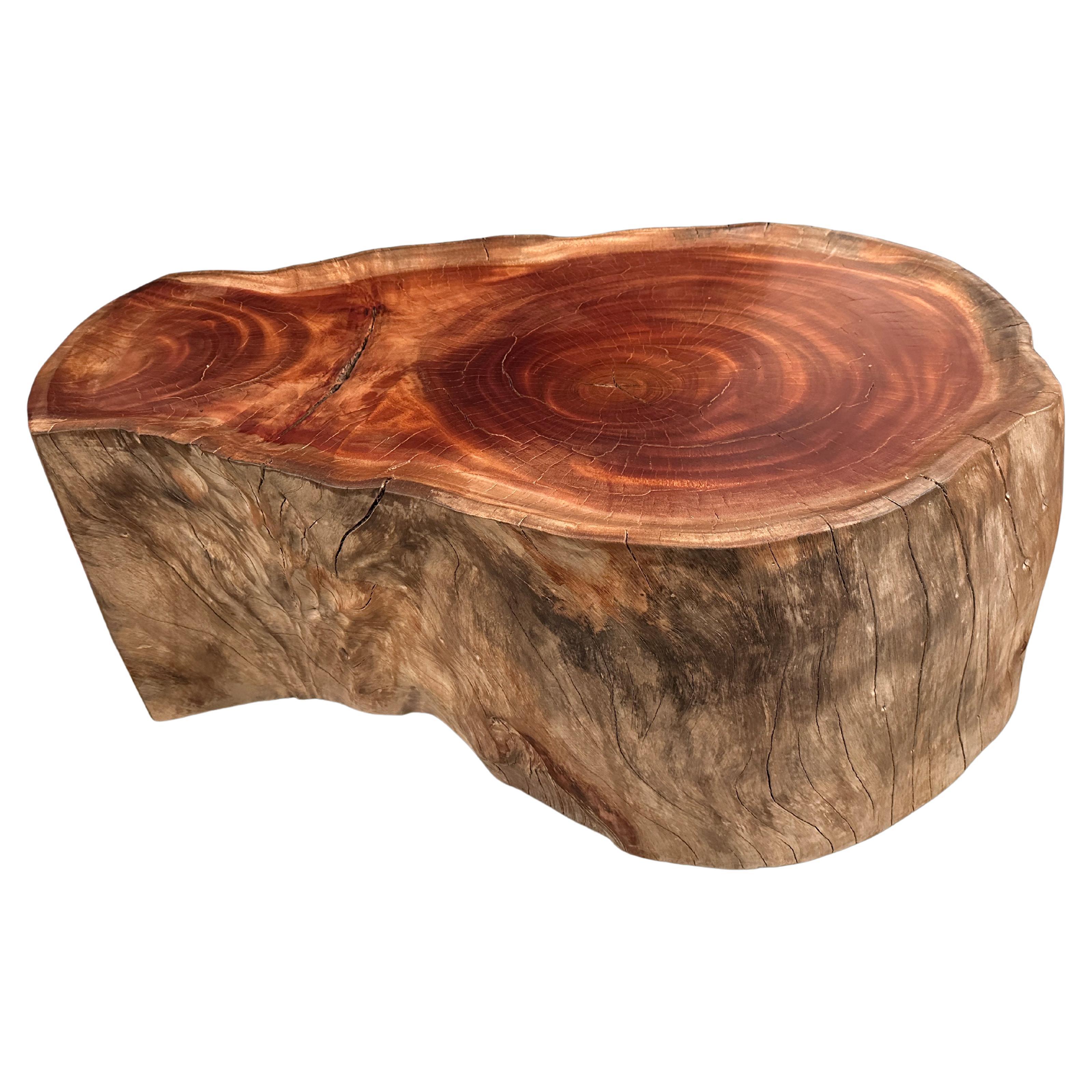 Andrianna Shamaris Mesa de centro estilo bandeja de madera de caoba en venta