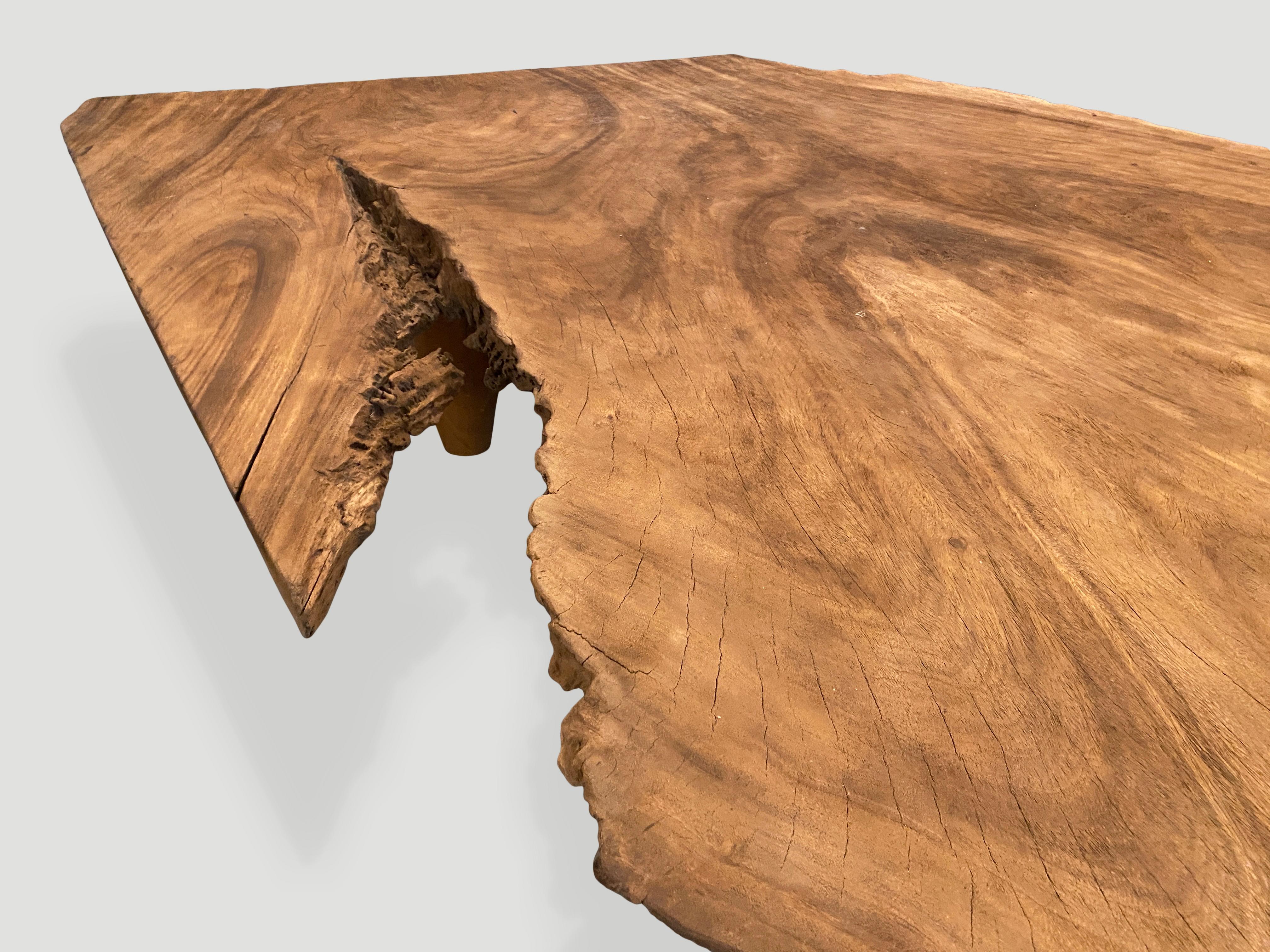 Organic Modern Andrianna Shamaris Massive Single Slab Suar Wood Live Edge Coffee Table For Sale