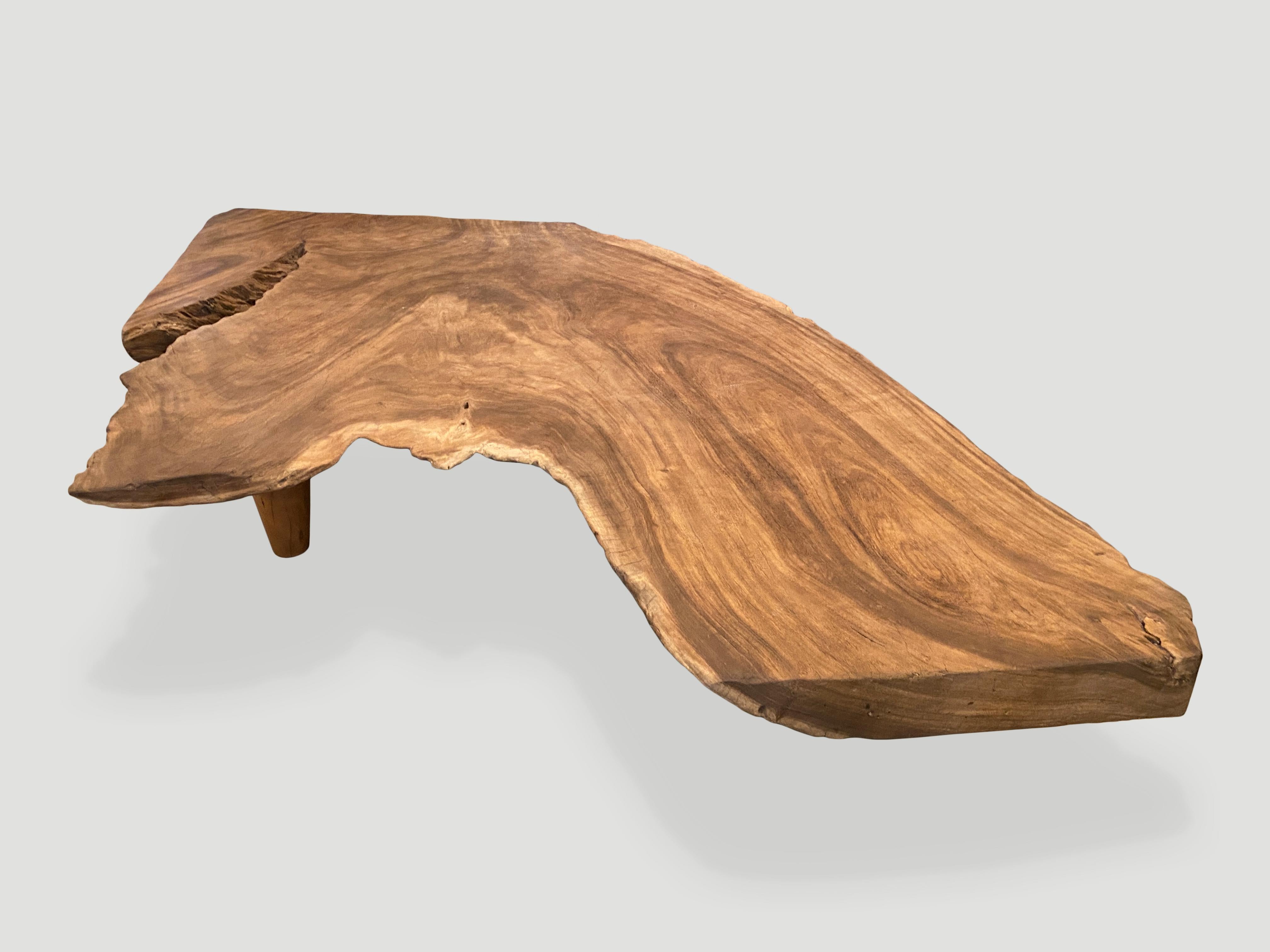 Andrianna Shamaris Massive Single Slab Suar Wood Live Edge Coffee Table In Excellent Condition For Sale In New York, NY