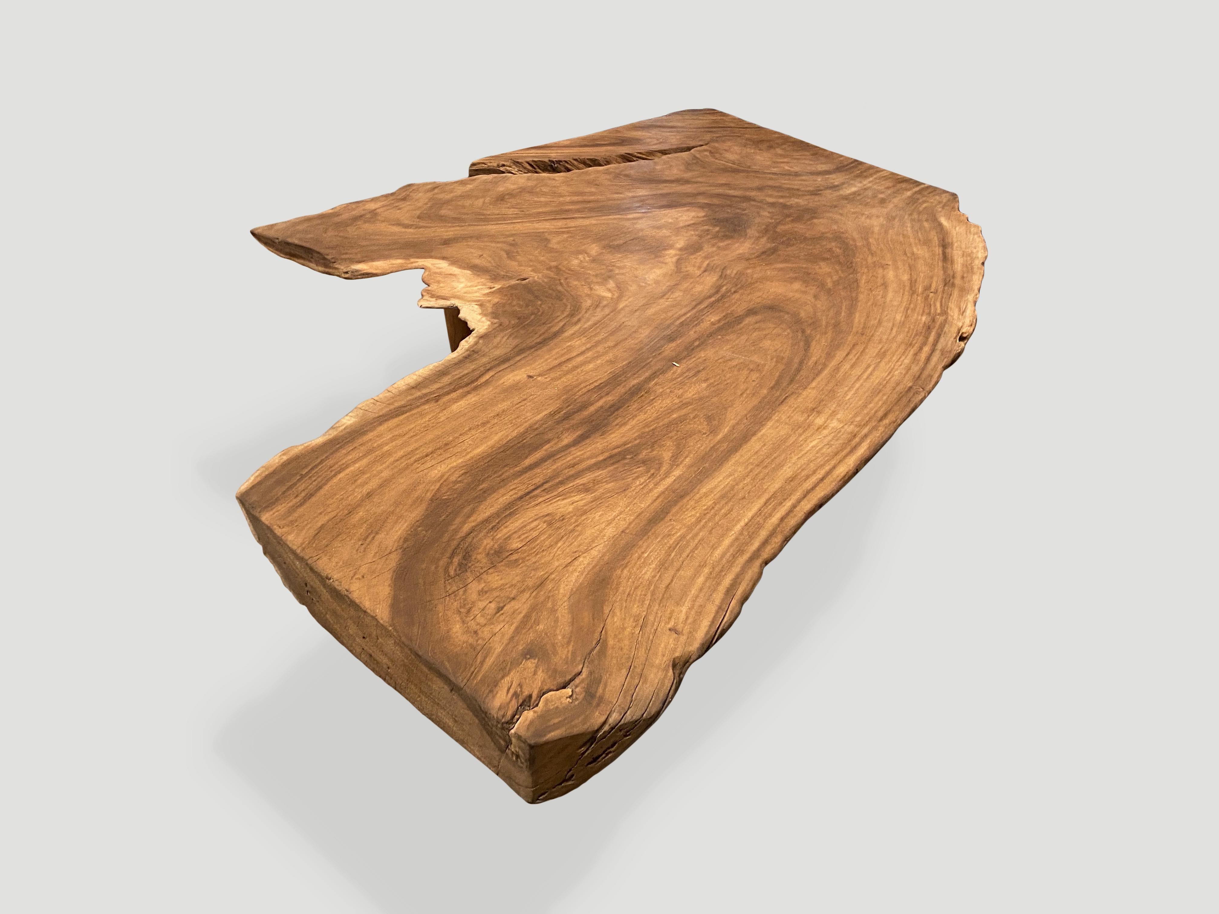 Contemporary Andrianna Shamaris Massive Single Slab Suar Wood Live Edge Coffee Table For Sale