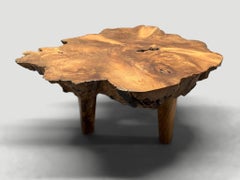Andrianna Shamaris Mid Century Style Live Edge Coffee Table