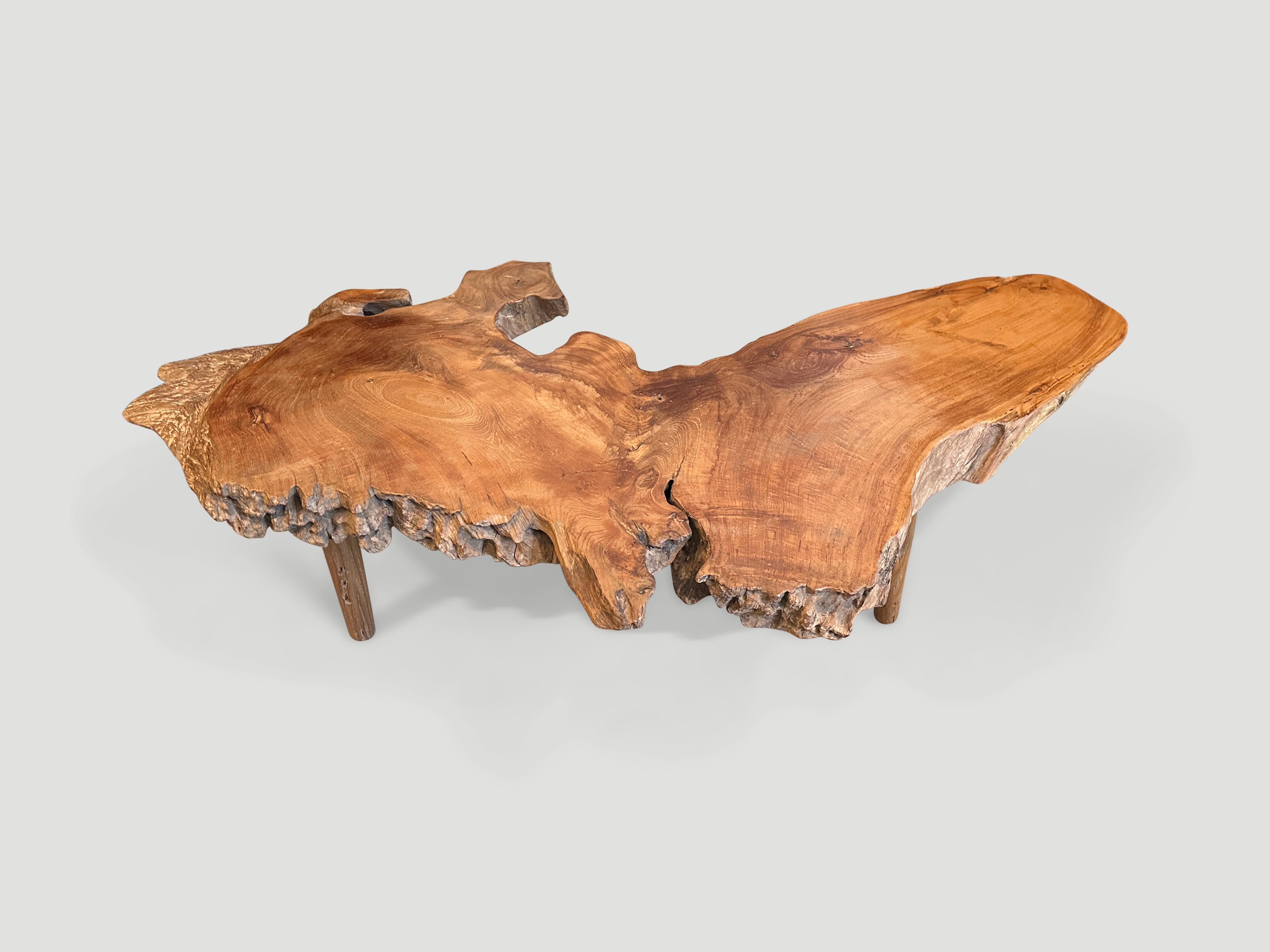 Andrianna Shamaris Mid Century Style Live Edge Coffee Table In Excellent Condition For Sale In New York, NY