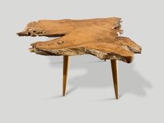 Andrianna Shamaris Mid Century Style Live Edge Coffee Table or Side Table