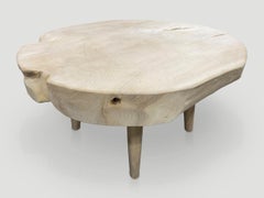 Andrianna Shamaris Mid-Century Style Organic Coffee Table