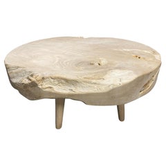 Andrianna Shamaris Mid Century Style Organic Coffee Table