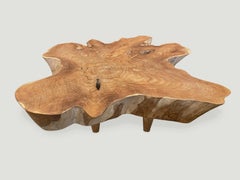 Andrianna Shamaris Midcentury Style Organic Teak Wood Coffee Table