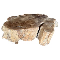 Mesas de centro y de cóctel de madera