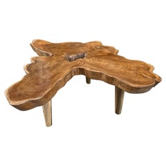 Andrianna Shamaris Mid Century Style Teak Wood Single Slab Coffee Table