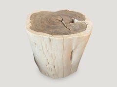 Andrianna Shamaris Minimalist Bleached Sono Wood Side Table or Stool