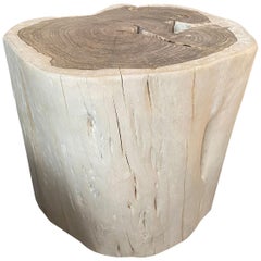 Andrianna Shamaris Minimalist Bleached Sono Wood Side Table or Stool