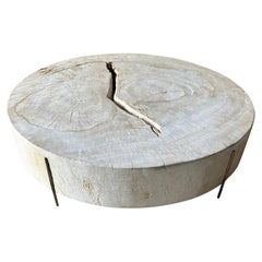 Andrianna Shamaris Minimalist Bleached Wood and Brass Coffee Table 