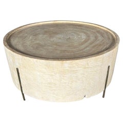 Andrianna Shamaris Minimalist Bleached Wood and Brass Tray Style Coffee Table 