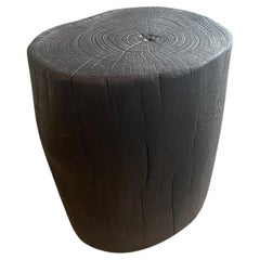 Andrianna Shamaris Minimalist Charred Suar Wood Side Table