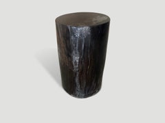 Andrianna Shamaris Minimalist Column Petrified Wood Side Table