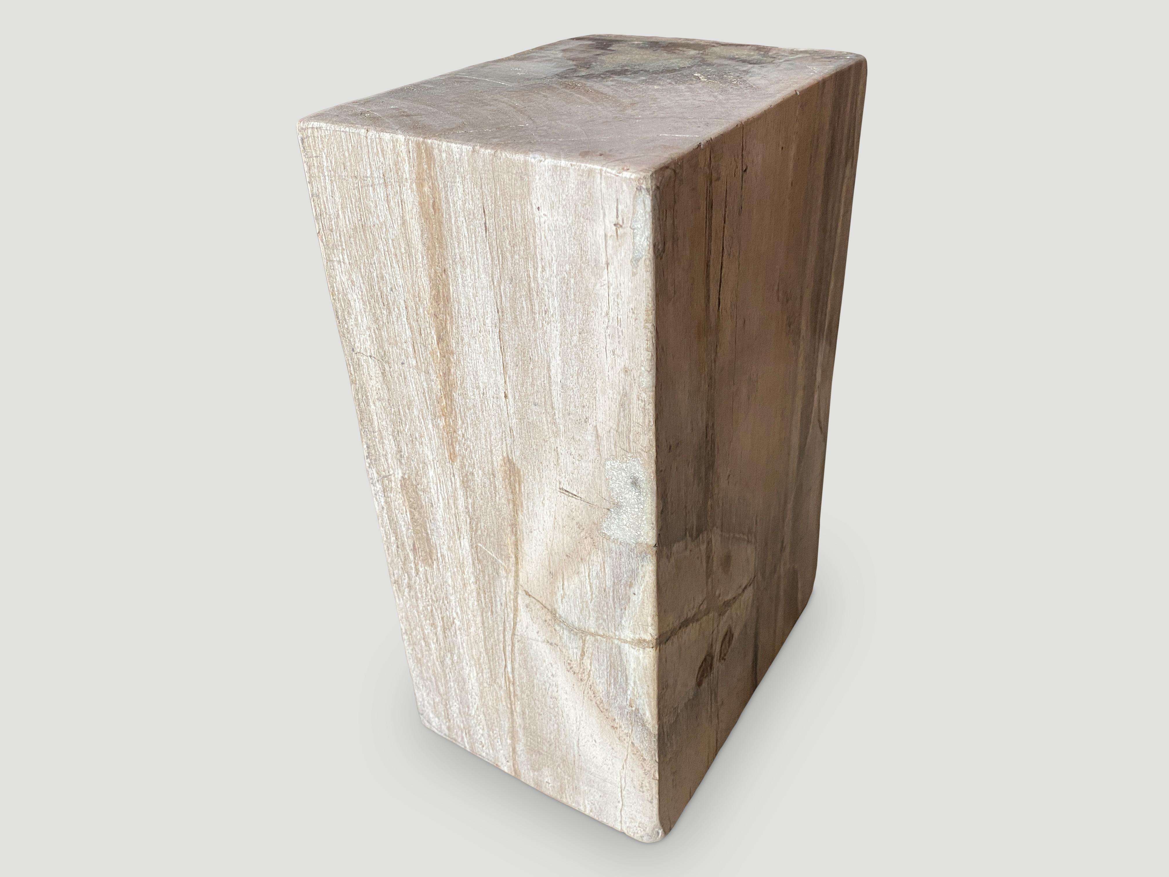 Organic Modern Andrianna Shamaris Minimalist Column Petrified Wood Side Table