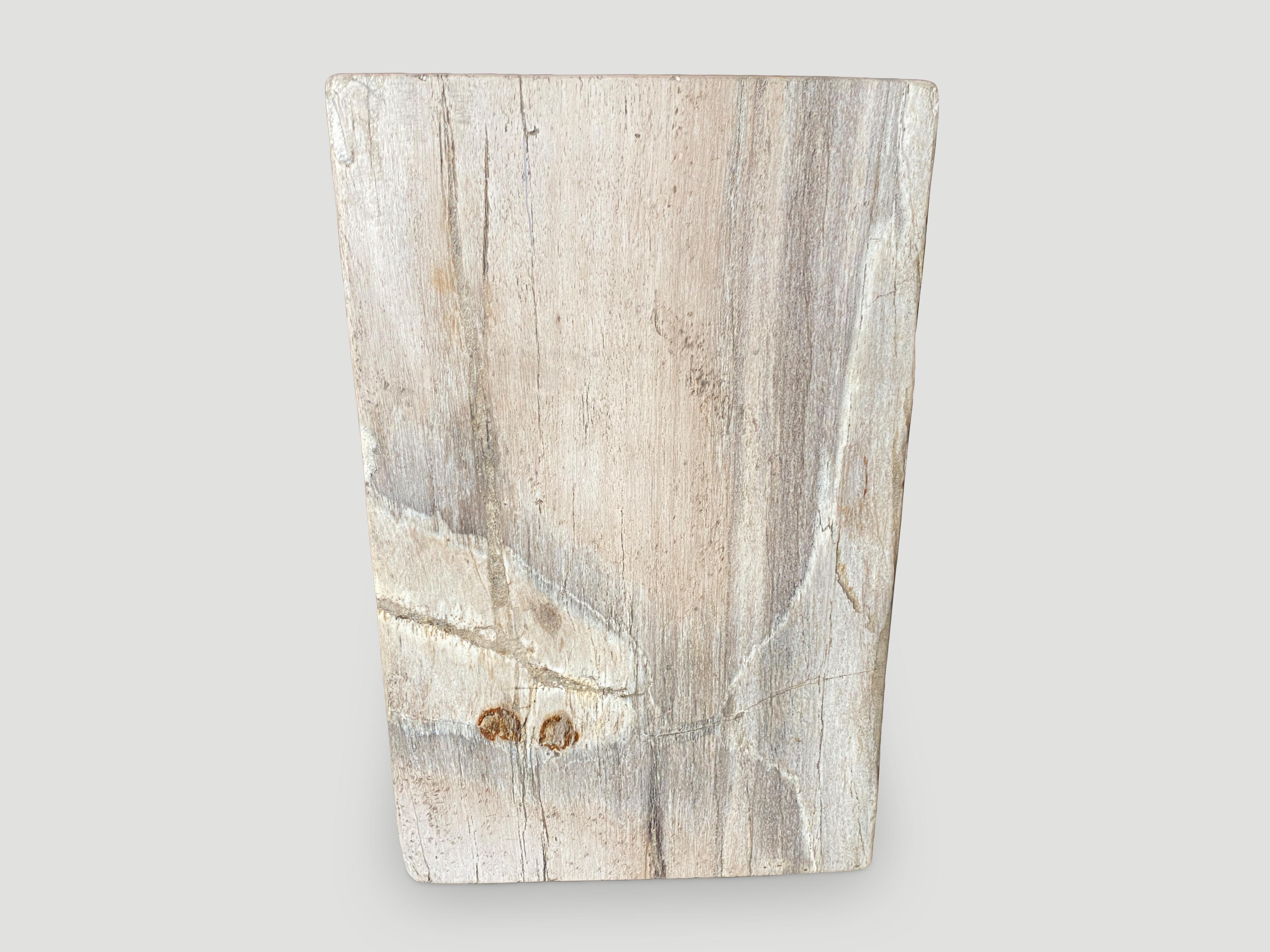Andrianna Shamaris Minimalist Column Petrified Wood Side Table In Excellent Condition In New York, NY