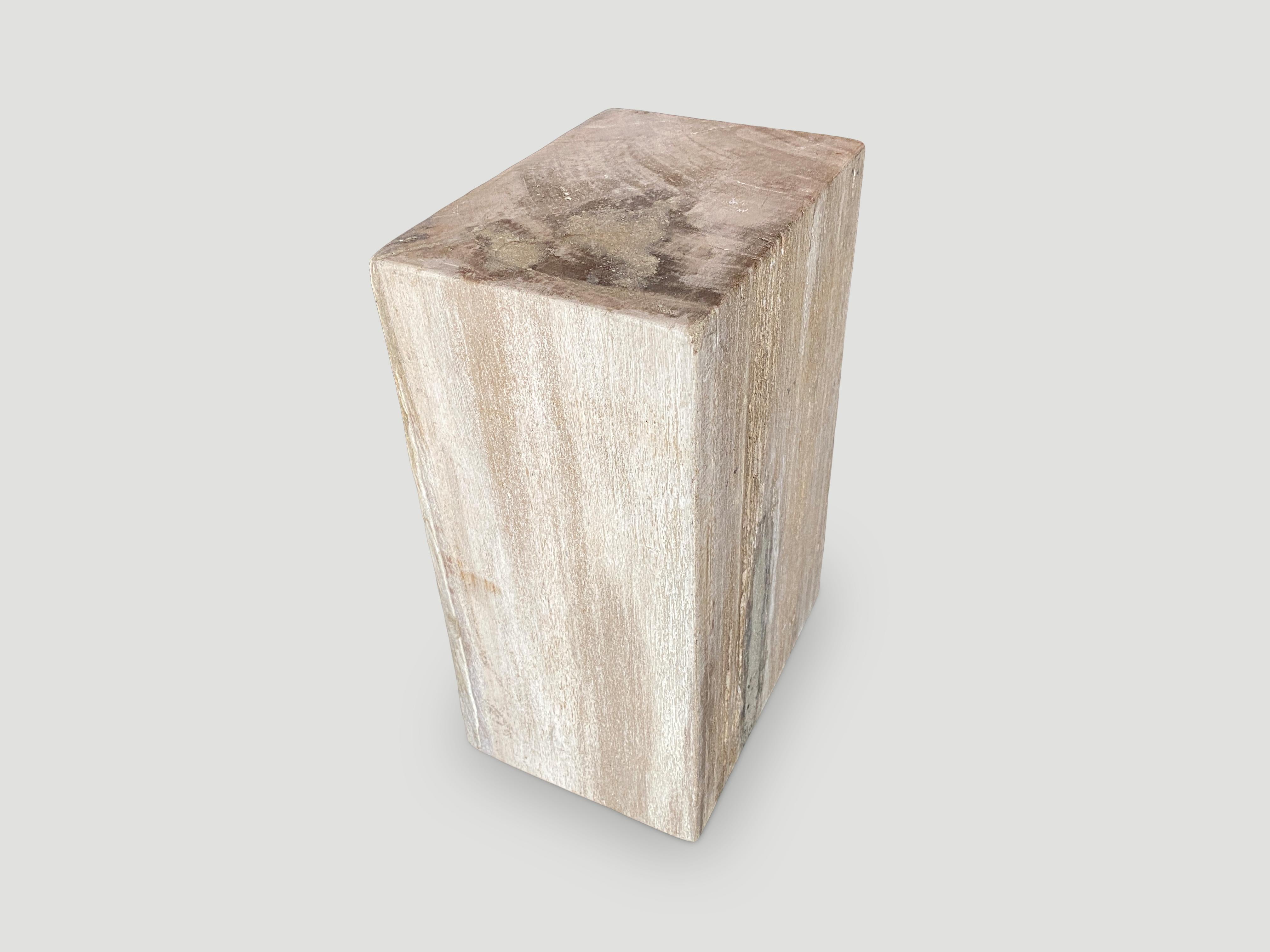 Contemporary Andrianna Shamaris Minimalist Column Petrified Wood Side Table