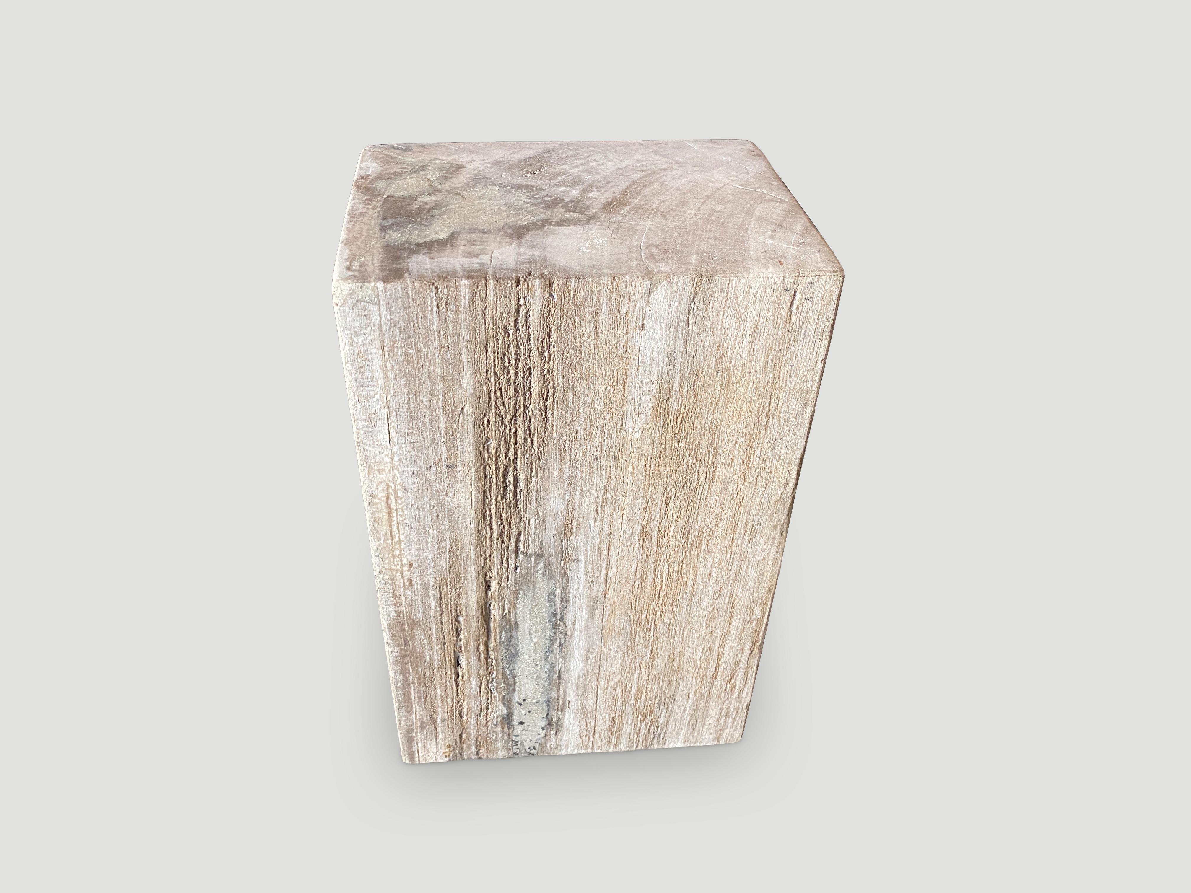 Andrianna Shamaris Minimalist Column Petrified Wood Side Table 1