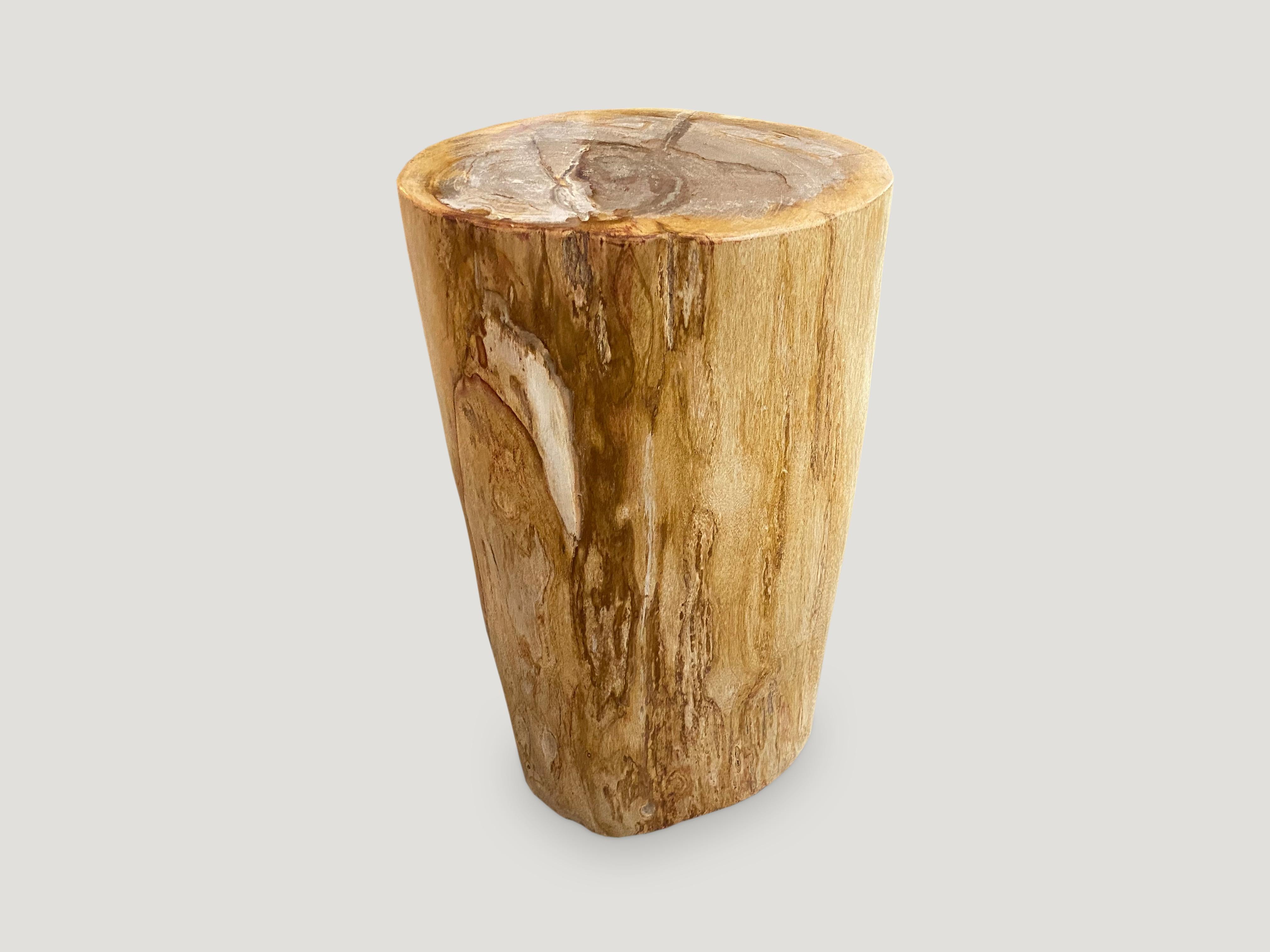 Organic Modern Andrianna Shamaris Minimalist Column Style Petrified Wood Pedestal