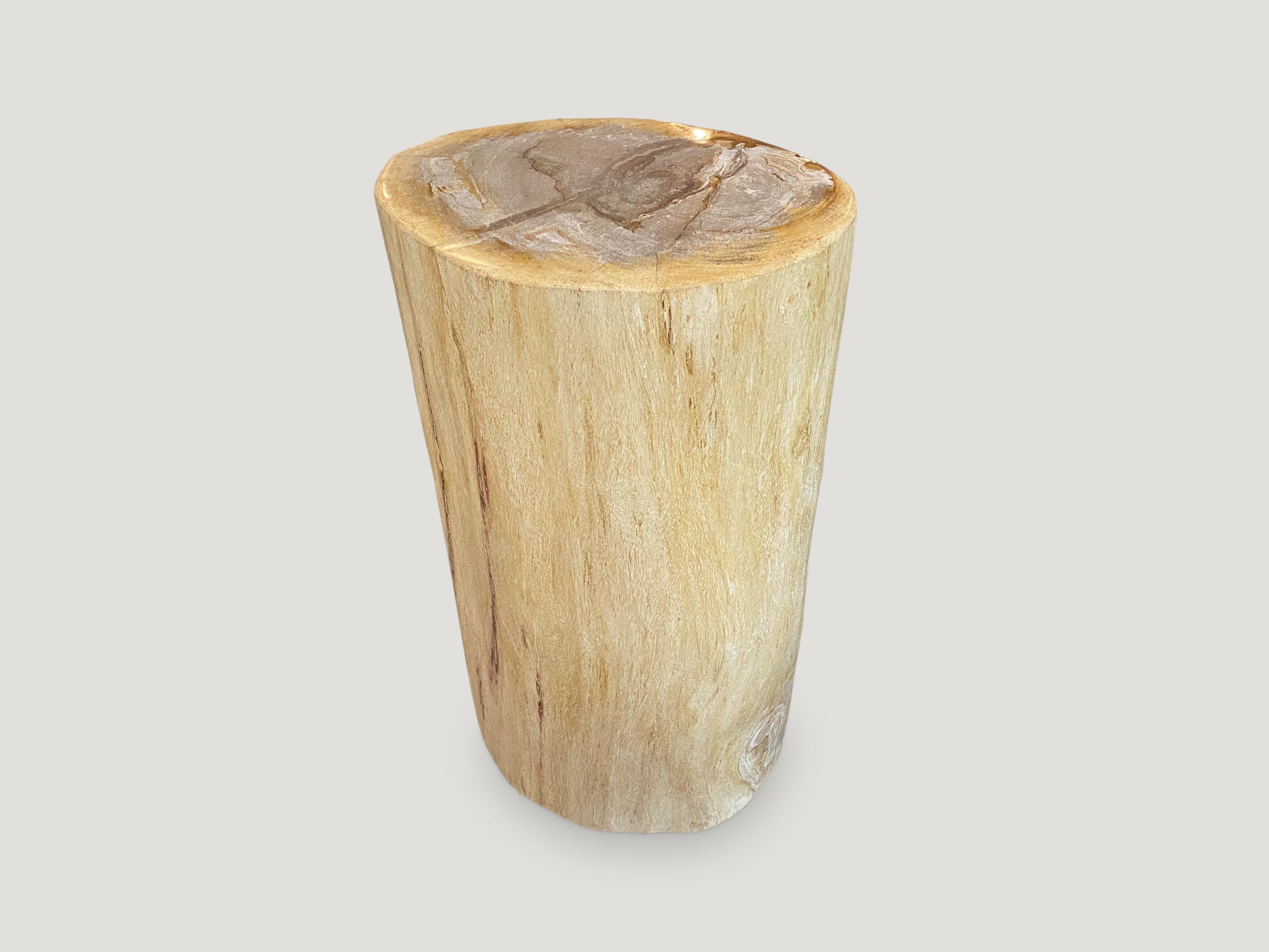 Andrianna Shamaris Minimalist Column Style Petrified Wood Pedestal In Excellent Condition In New York, NY