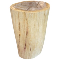 Andrianna Shamaris Minimalist Column Style Petrified Wood Pedestal