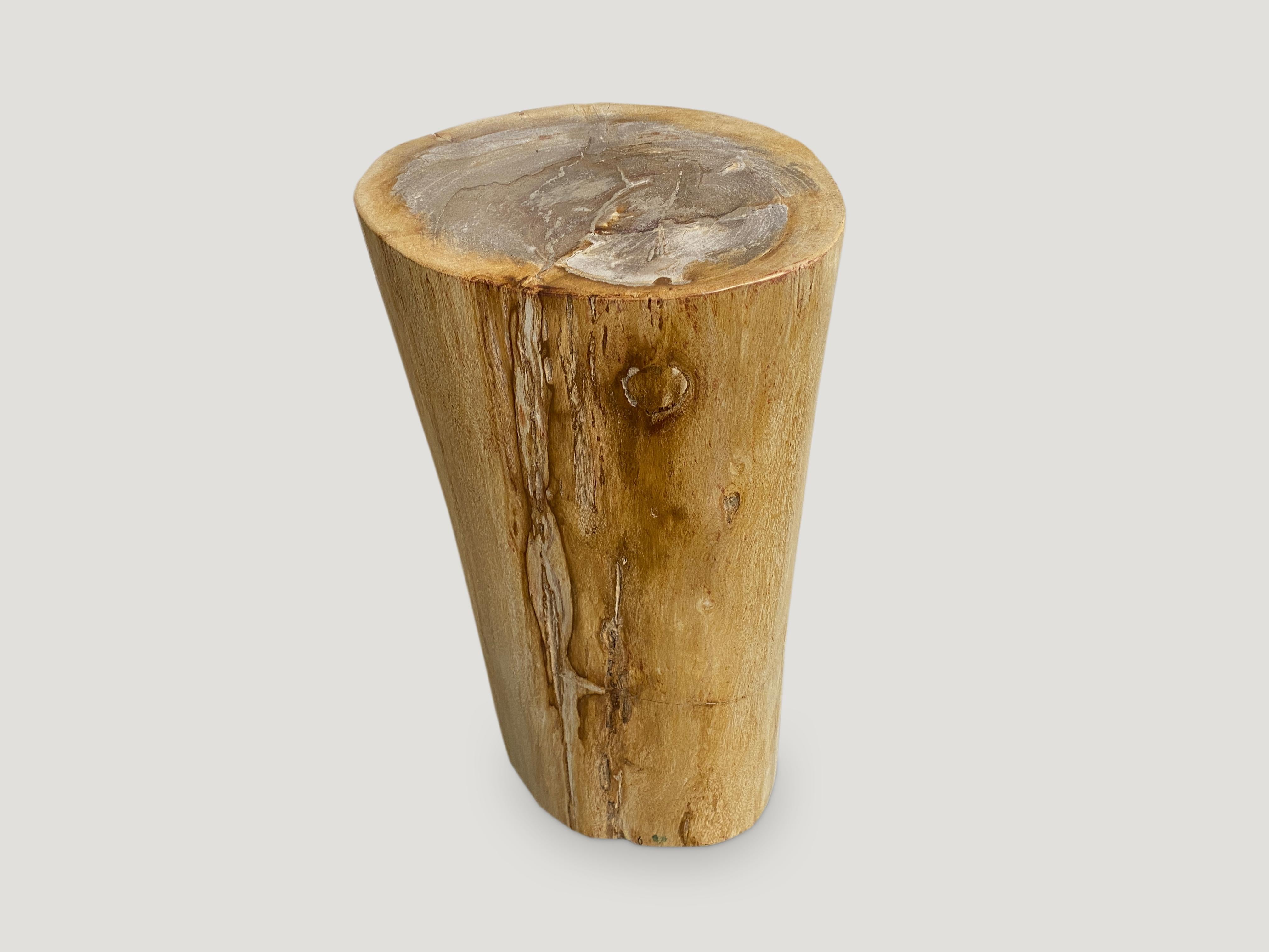 Beautiful Minimalist sand toned high quality petrified wood pedestal. We have a pair cut from the same petrified wood log. The size and price reflect the one shown.

As with a diamond, we polish the highest quality fossilized petrified wood, using