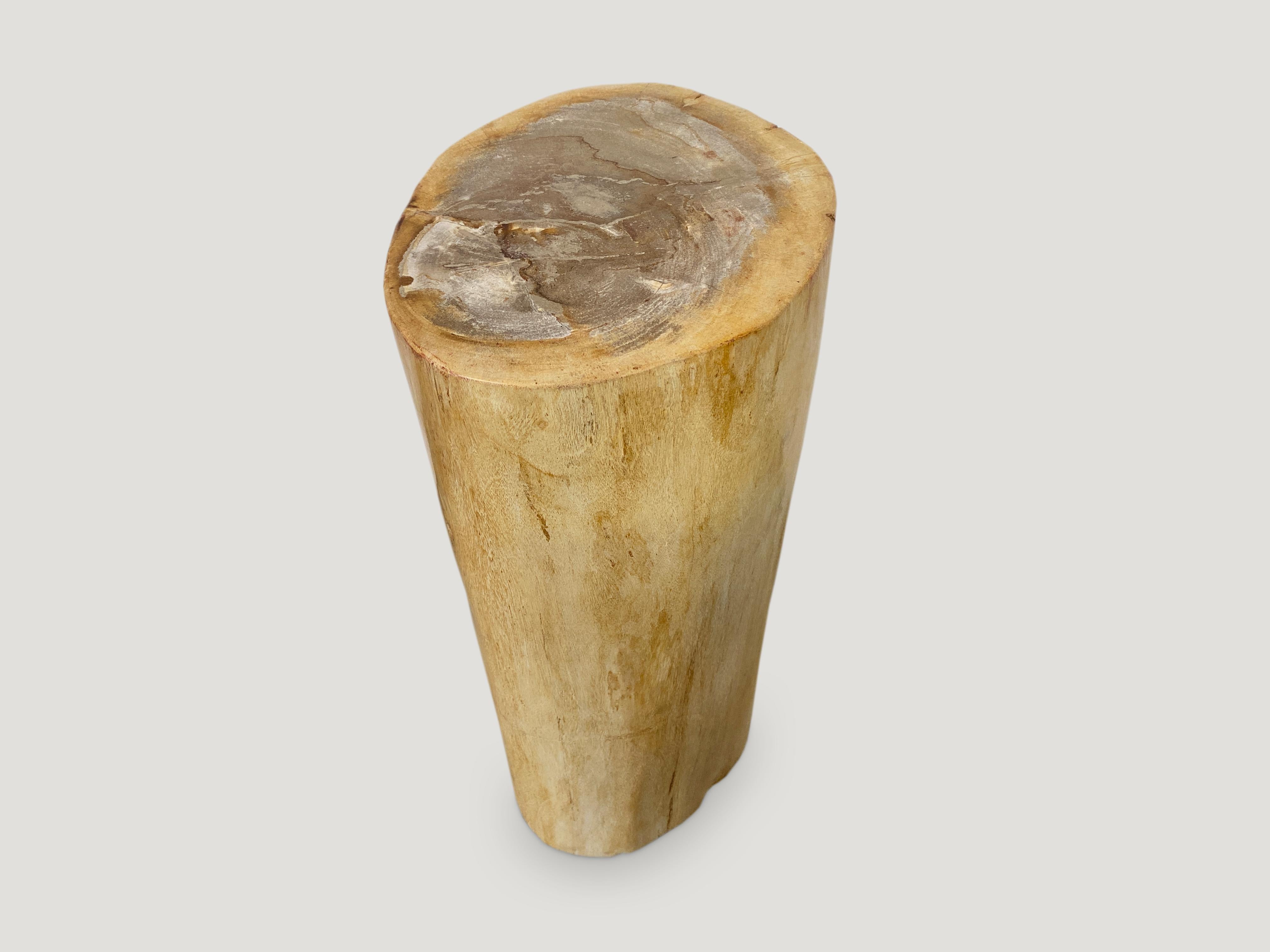 Organic Modern Andrianna Shamaris Minimalist Column Style Petrified Wood Side Table For Sale