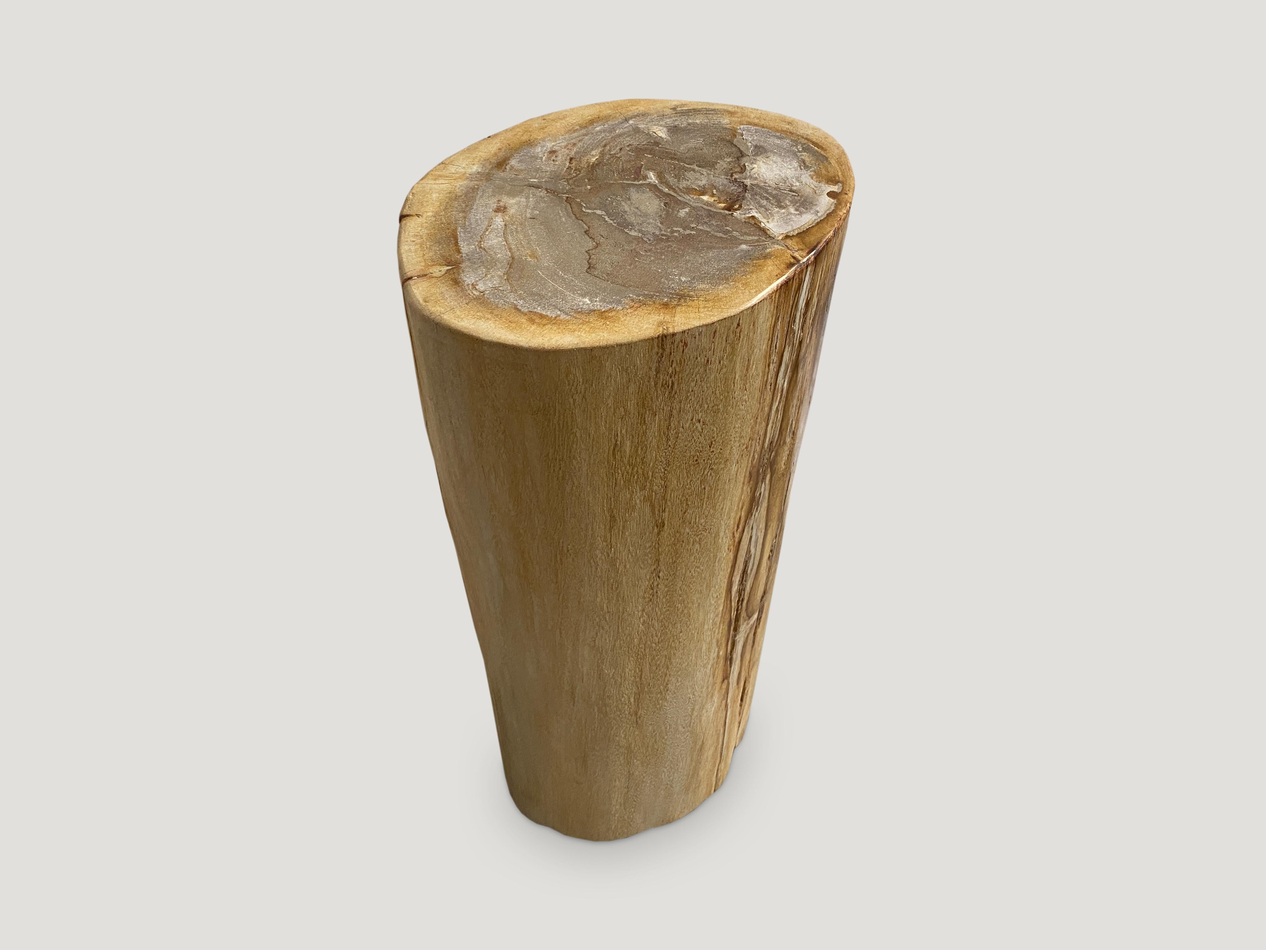 Andrianna Shamaris Minimalist Column Style Petrified Wood Side Table In Excellent Condition For Sale In New York, NY