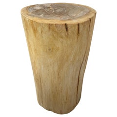 Andrianna Shamaris Minimalist Column Style Petrified Wood Side Table
