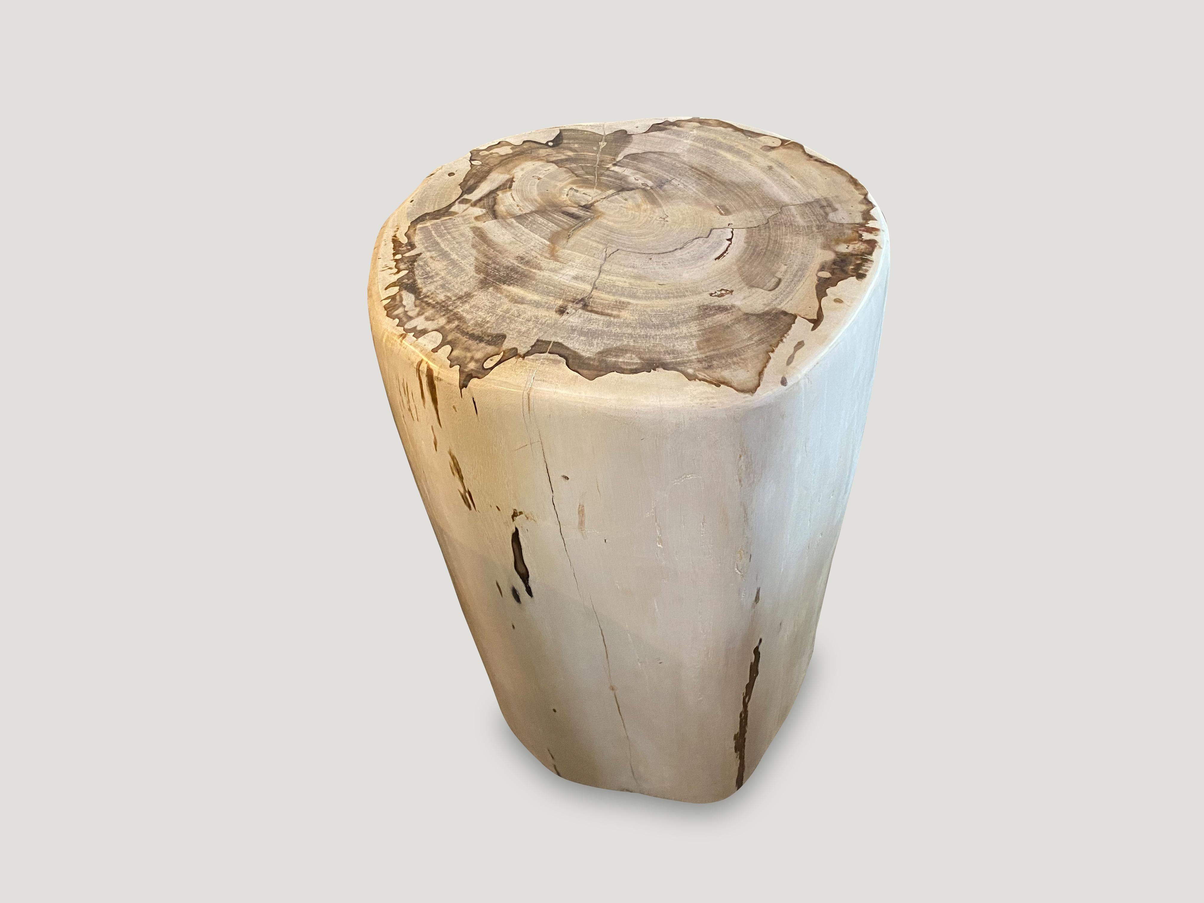 The palest tones are the hardest to source. Beautiful Minimalist petrified wood side table.

As with a diamond, we polish the highest quality fossilized petrified wood, using our latest ground breaking technology, to reveal its natural beauty and