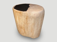 Andrianna Shamaris Minimalist High Quality Petrified Wood Side Table