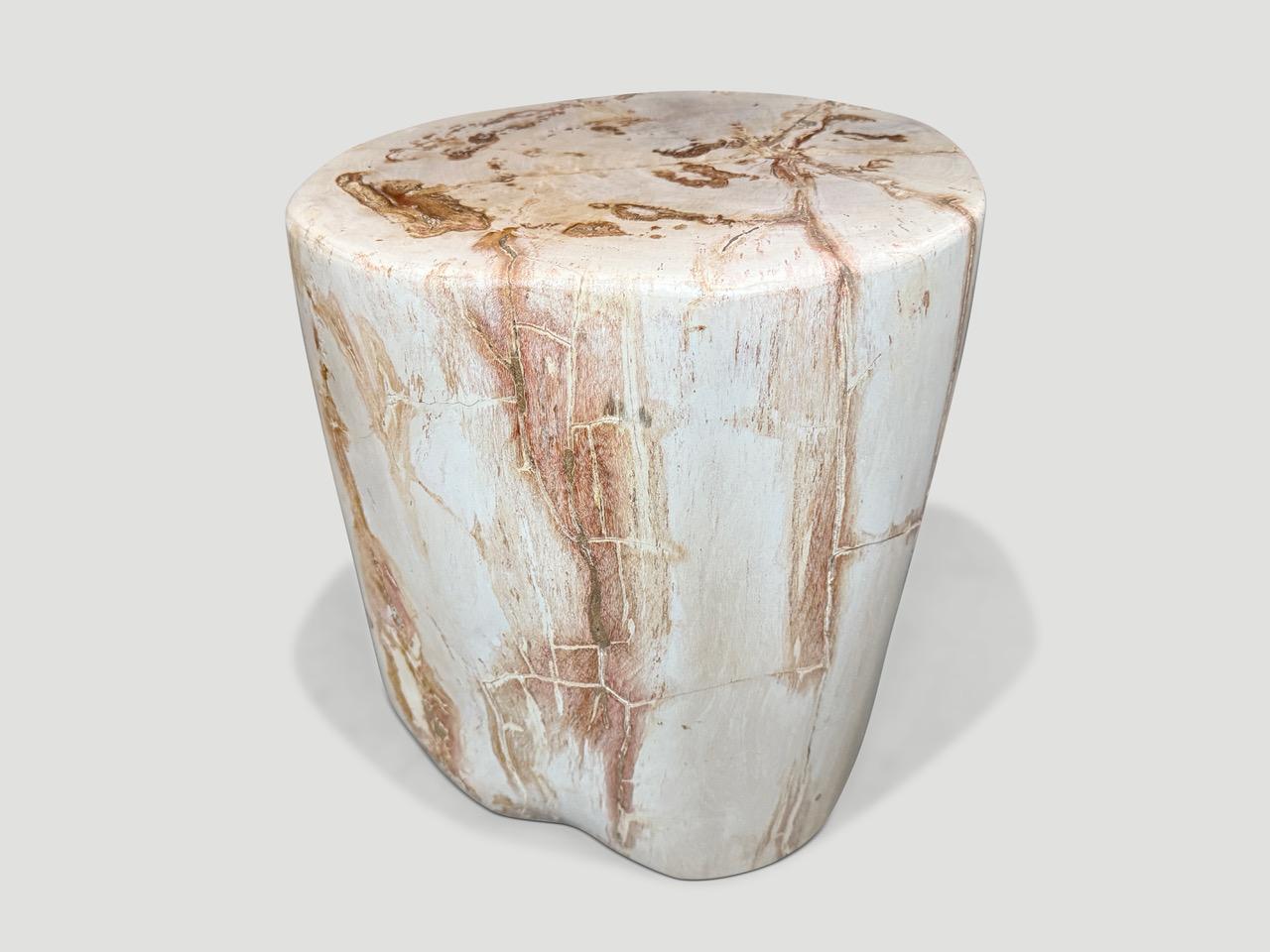 Cette table d'appoint en bois pétrifié de haute qualité aux tons clairs présente des contrastes impressionnants. Il est fascinant de voir comment Mère Nature produit ces stupéfiants troncs de teck pétrifiés vieux de 40 millions d'années, aux